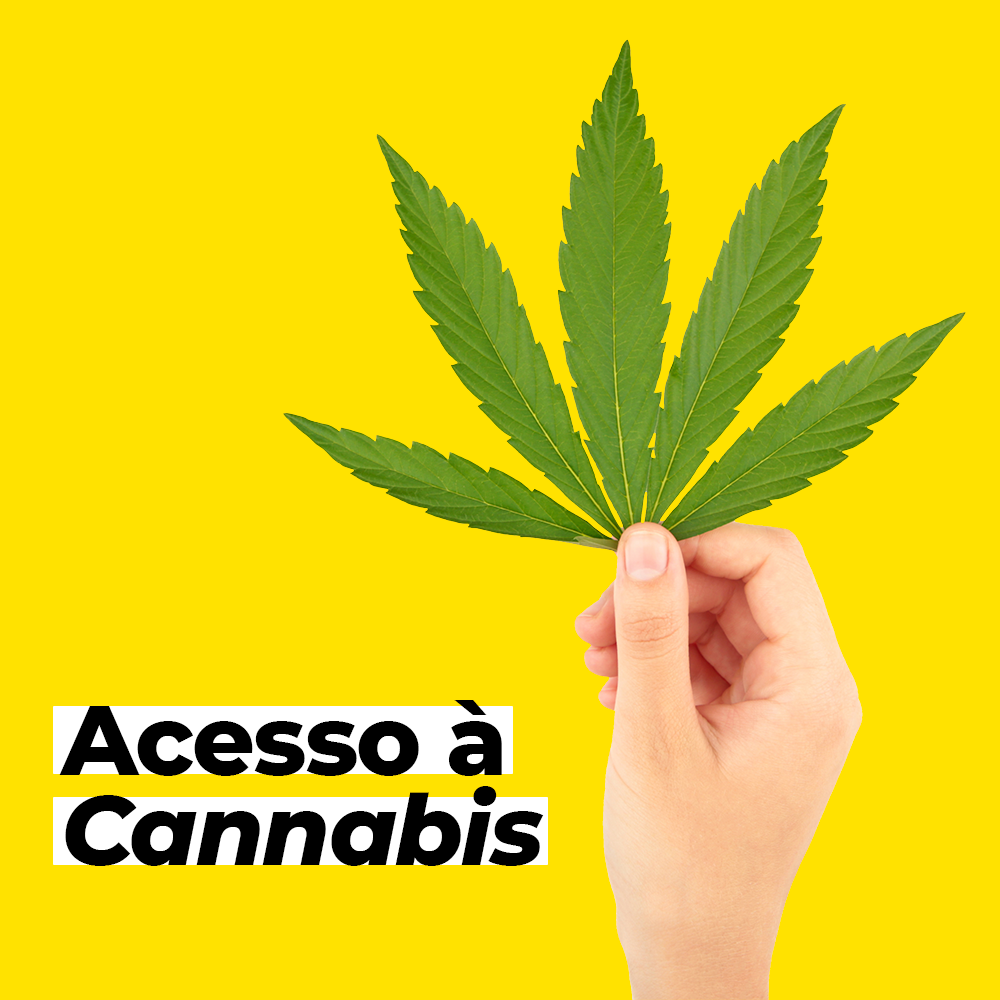 Paciente - Maconha Medicinal