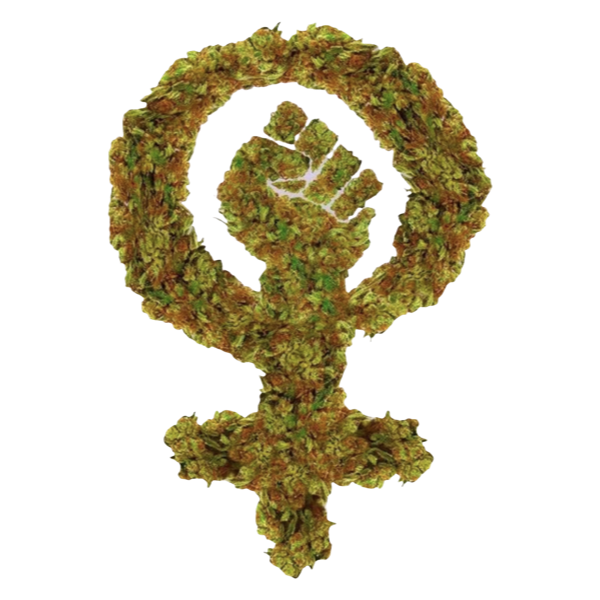 ACOM Associação de Cannabis Medicinal e Organizada por Mulheres