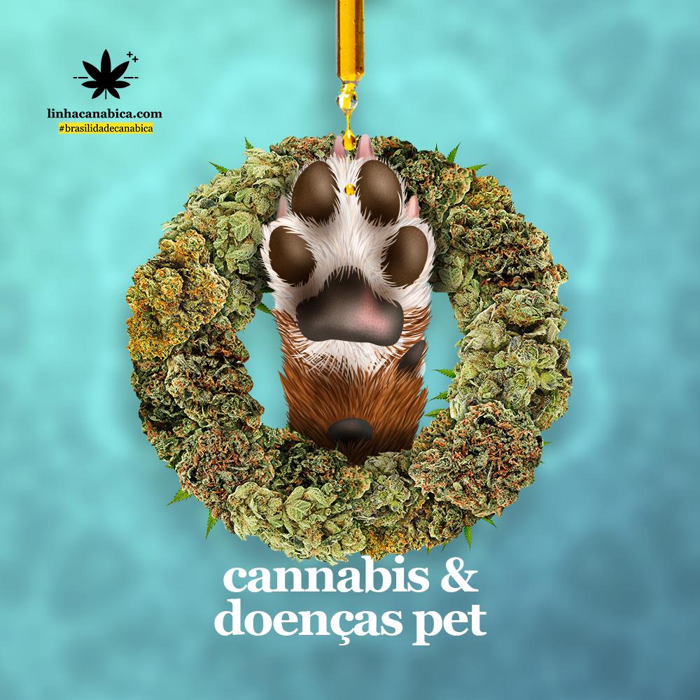 cannabis medicinal em animais: para que pode ser usada e qual a dosagem ideal?