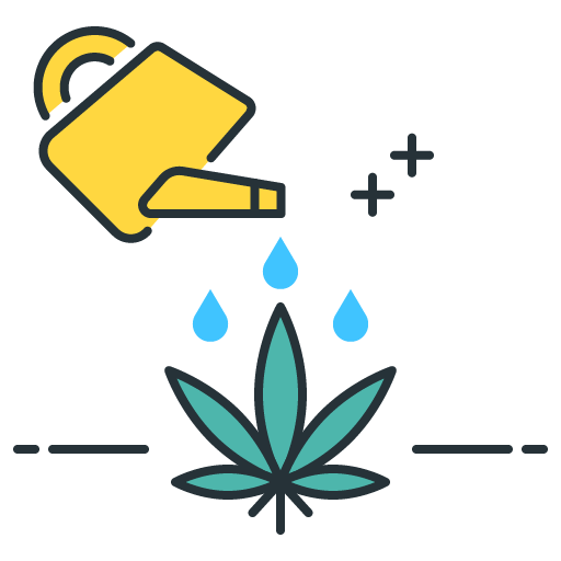 Projeto Cultivo de Cannabis